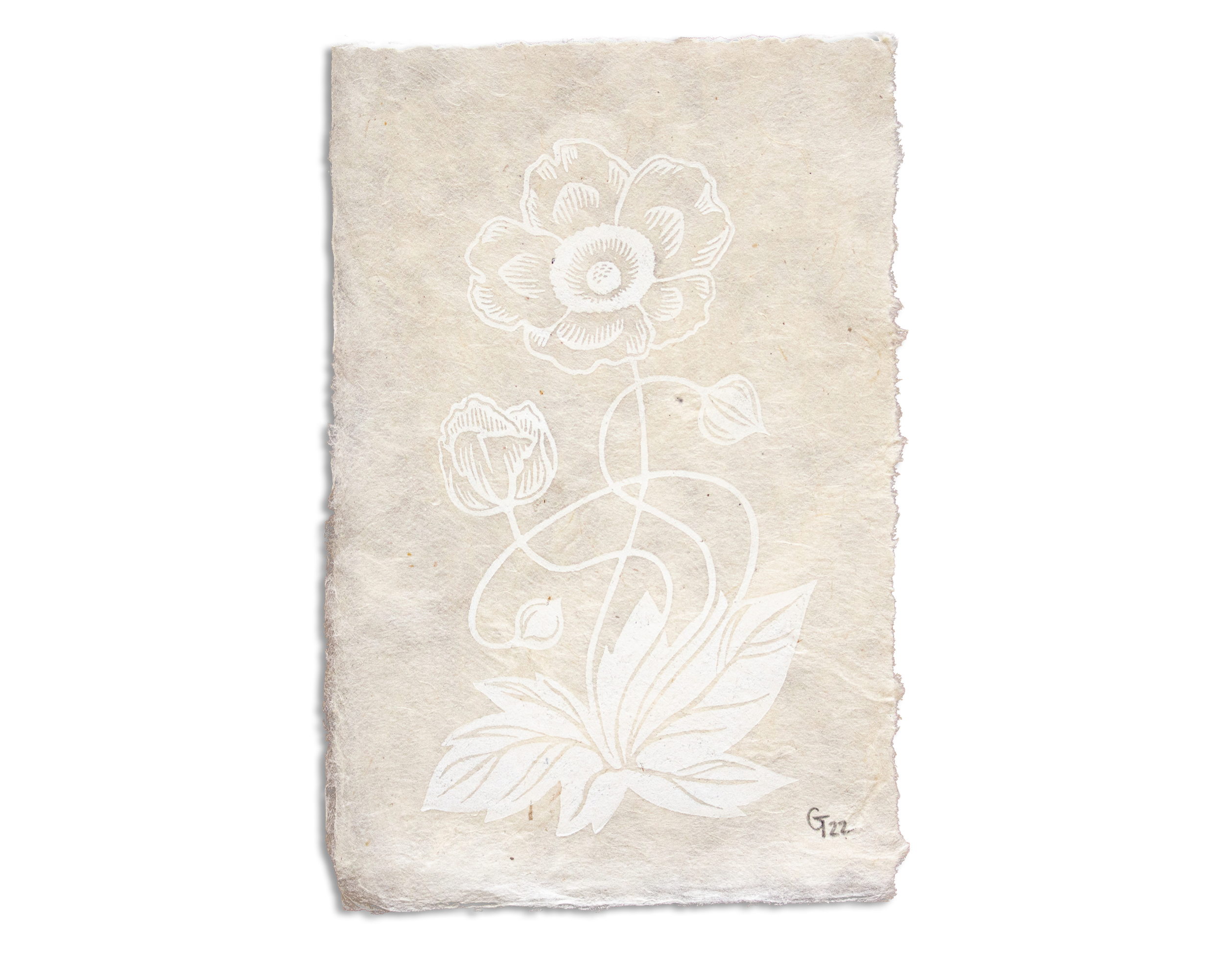 絵画 anemone Sea Anemones Lithograph Published In 1868 High-Res Vector